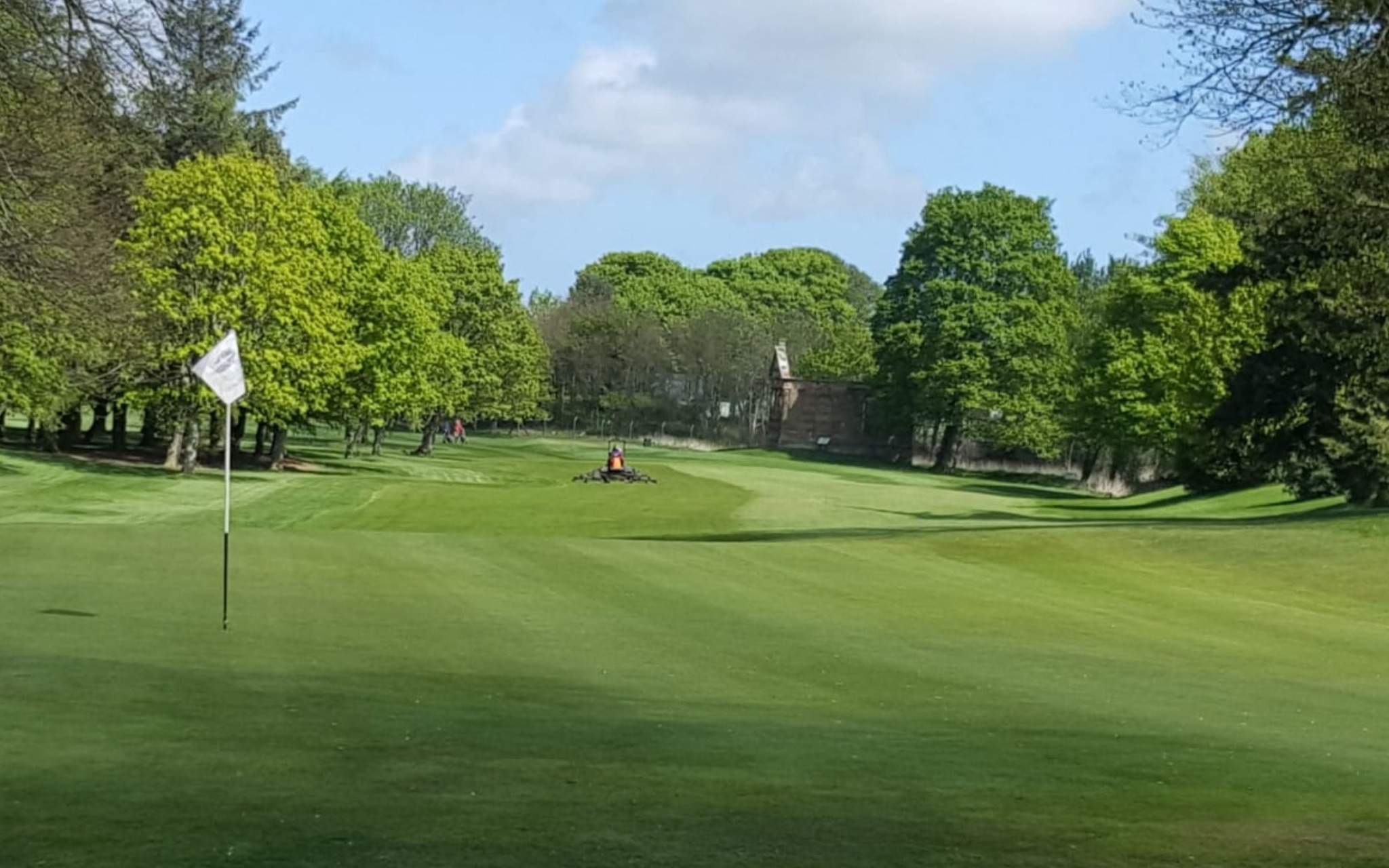 Image of golf ball on tee on grass.